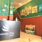 Hotel Lavender
