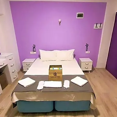 Lavender 2*